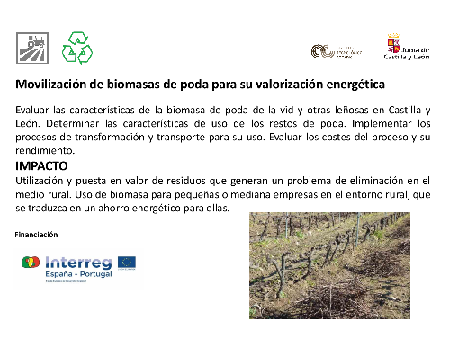 Movilización de biomasas de poda para su valorización energética (MOVBIO)